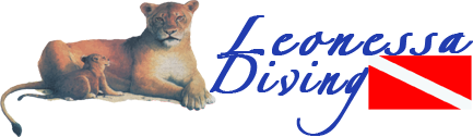 leonessa